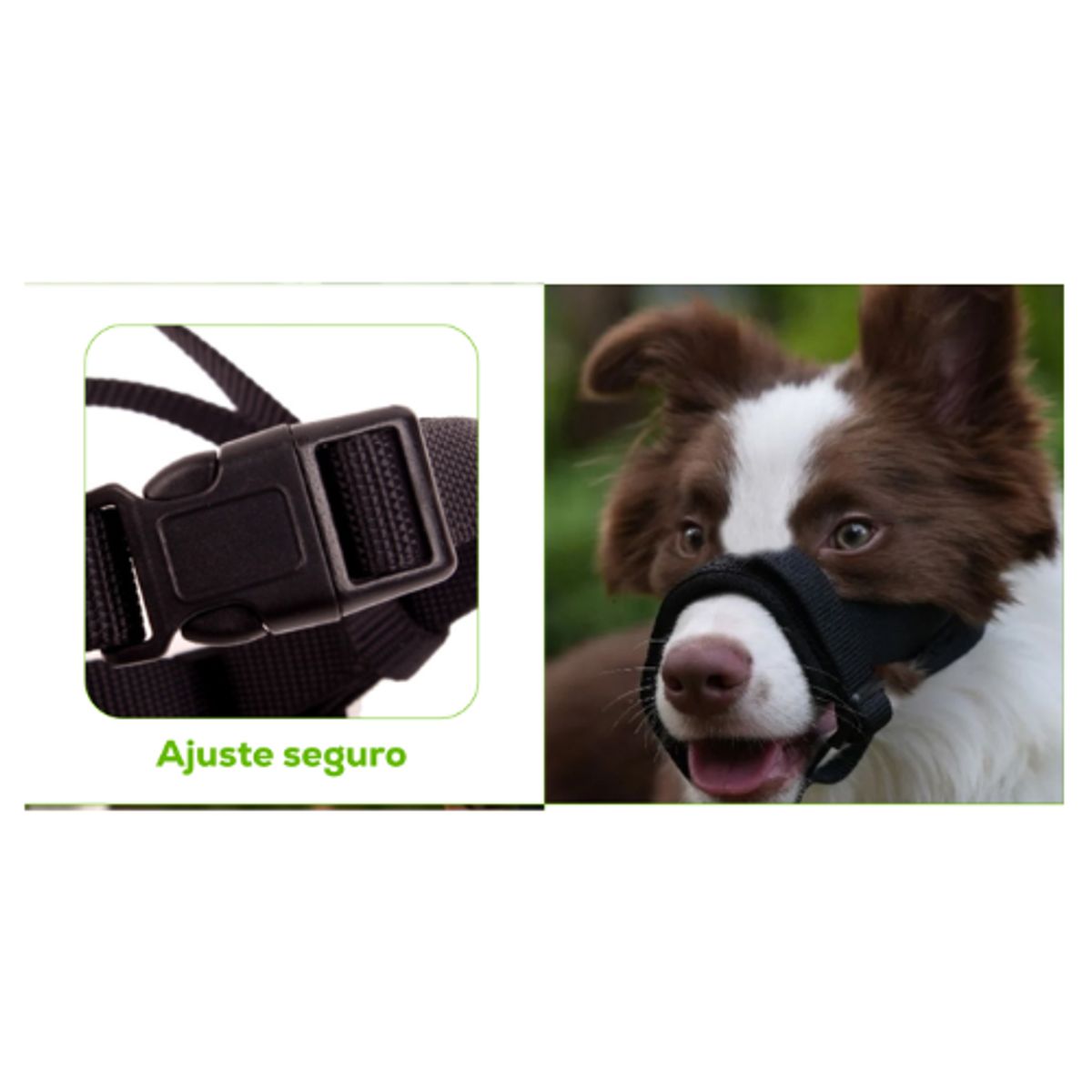 AFM - Bozal Healthy Con Traílla