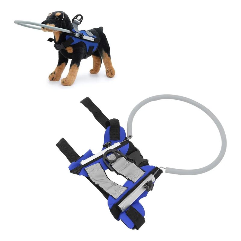 GENERICO - Collar Anillo Arnes Perro Ciego Mediano Azul