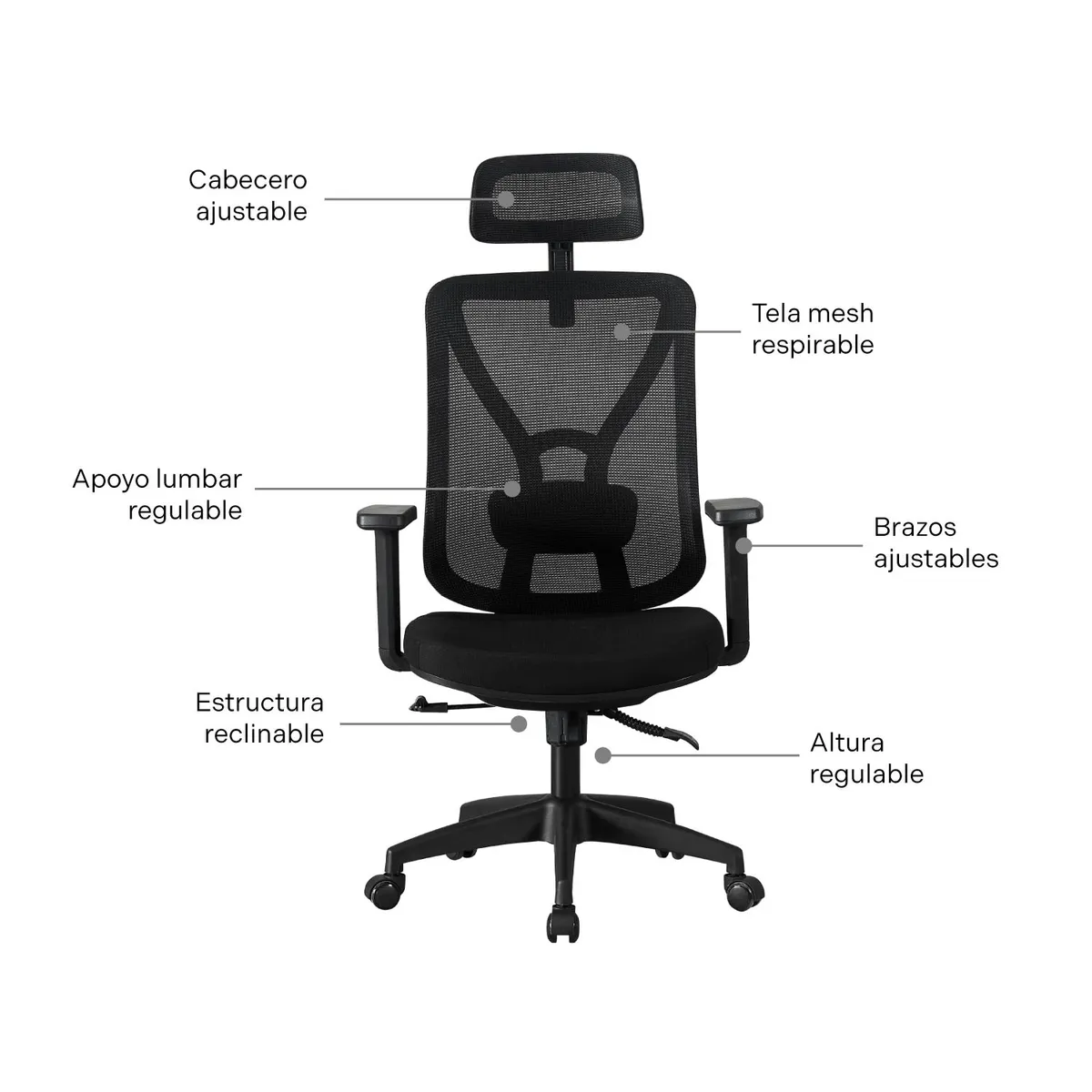 ERGONOMUS - Silla de Oficina Parma Ergonomus Presidente Color Negro
