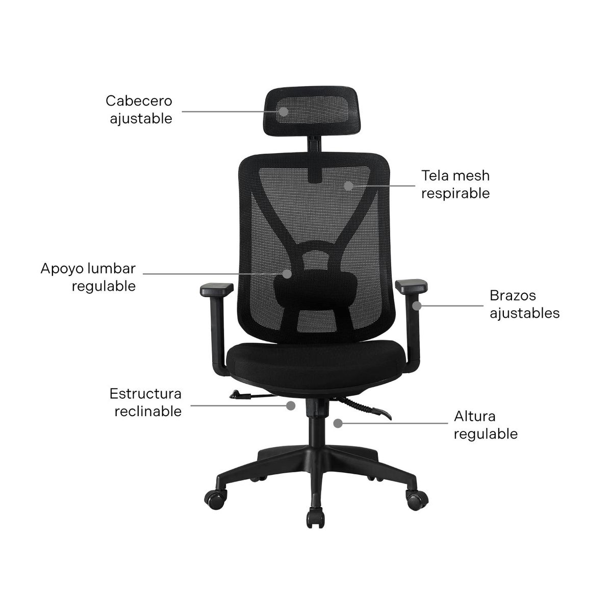 ERGONOMUS - Silla de Oficina Parma Ergonomus Presidente Color Negro