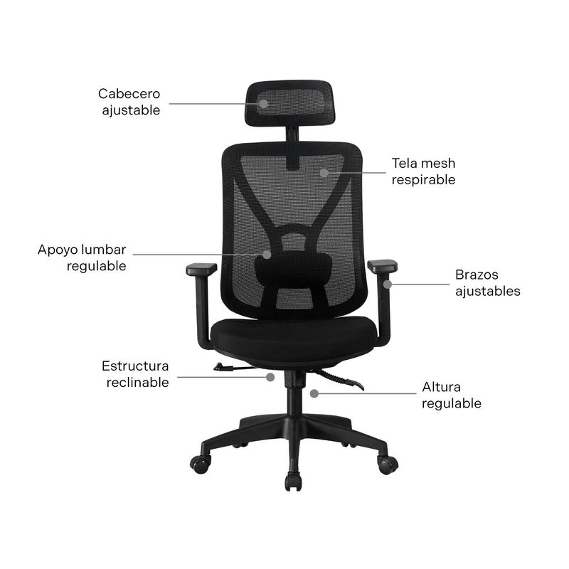 ERGONOMUS - Silla de Oficina Parma Ergonomus Presidente Color Negro