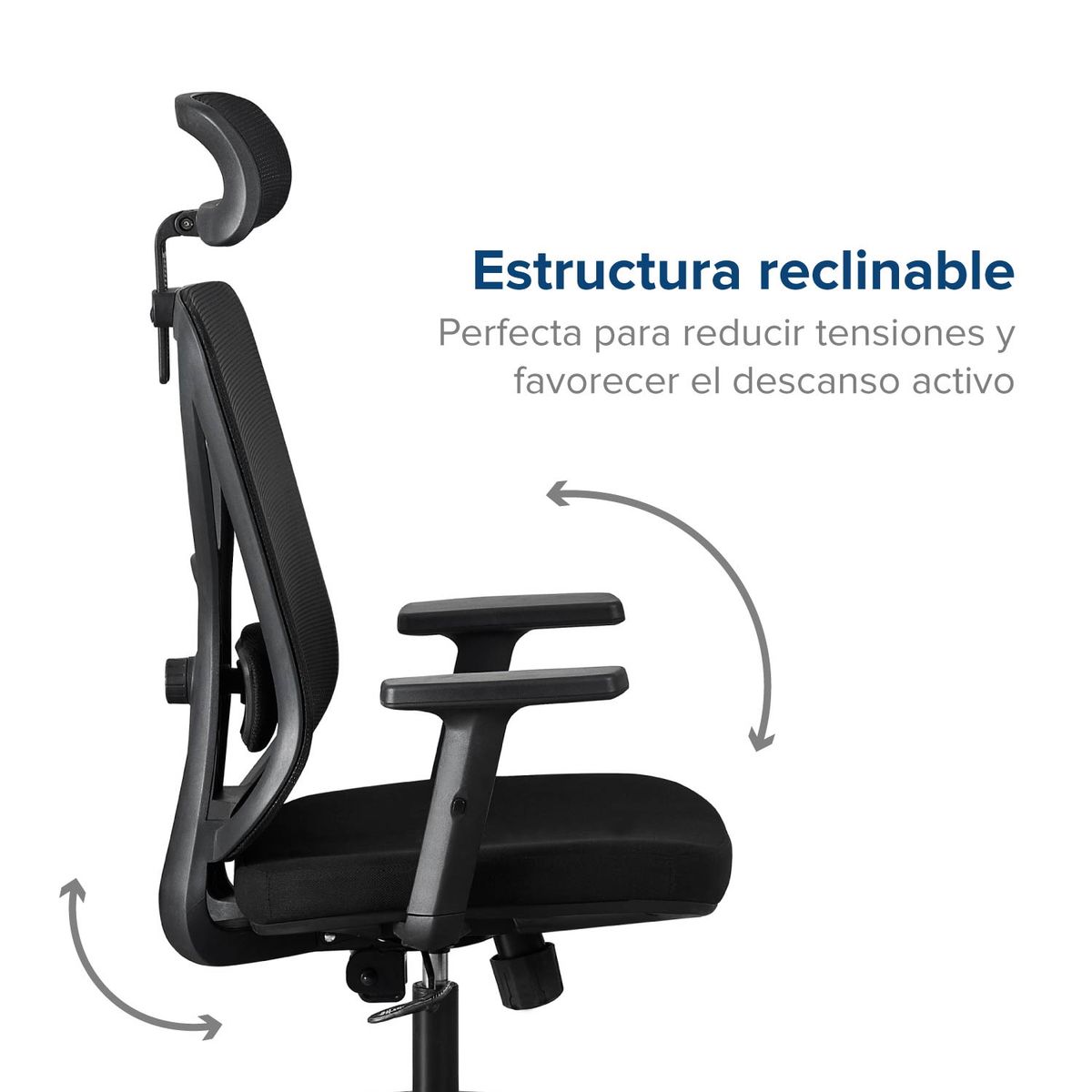 ERGONOMUS - Silla de Oficina Parma Ergonomus Presidente Color Negro