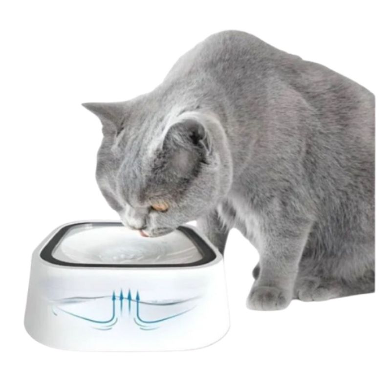 GENERICO - Bebedero Plato Para Mascotas Perro Gato Portatil Antiderrame