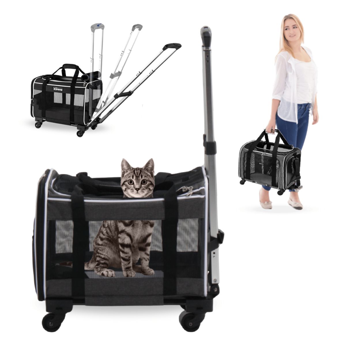 GENERICO - Transportador Plegable Base Extraíble Maleta Para Mascotas