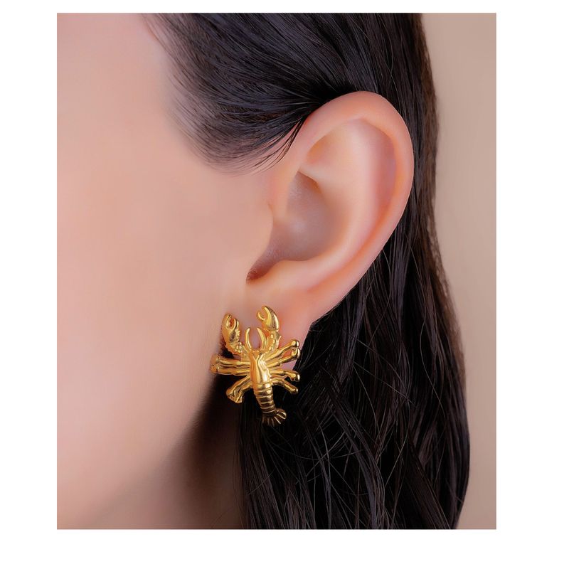 GENERICO - ARETES CANJEGRO BAÑADO EN ORO
