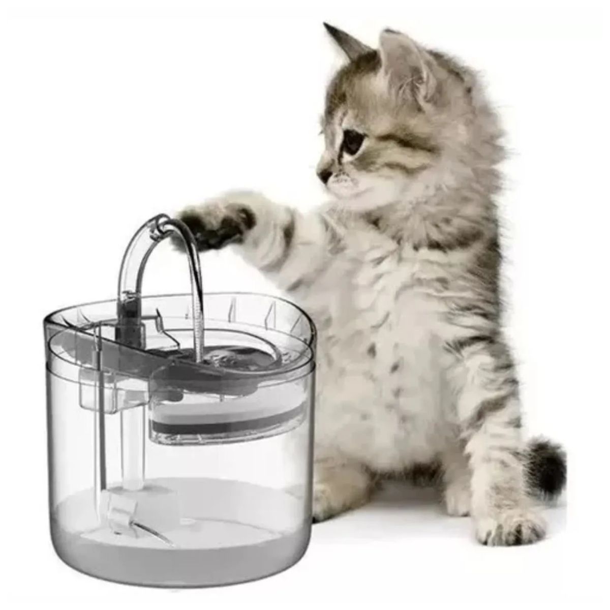 GENERICO - Fuente De Agua Gatos Bebedero Automatico Con Sensor
