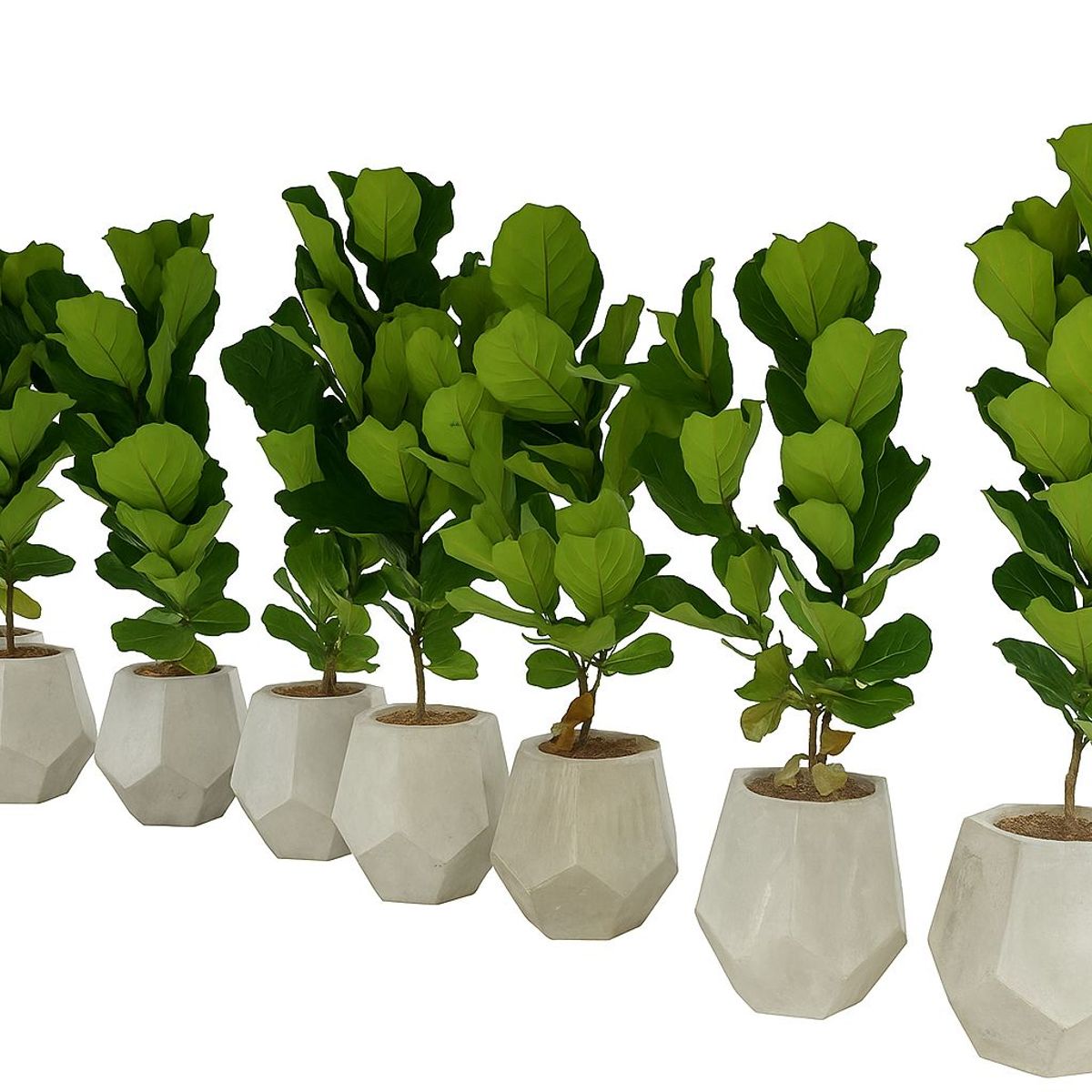 BUBINGA - Matera Decaedro en concreto color gris natural 45 alto x 45 diámetro.