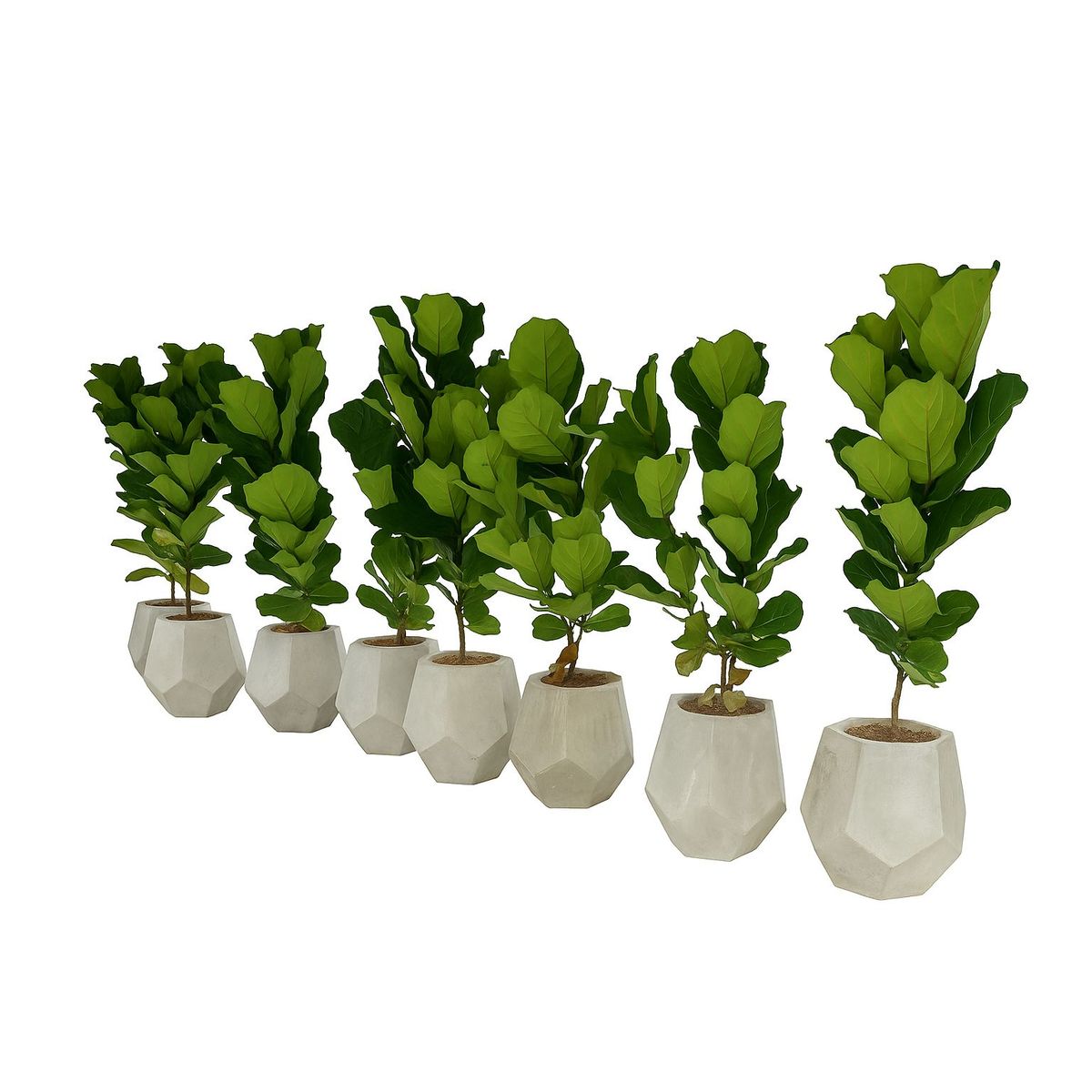 BUBINGA - Matera Decaedro en concreto color gris natural 45 alto x 45 diámetro.