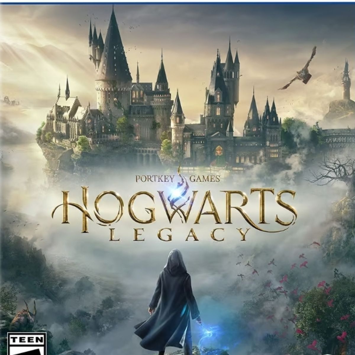 PLAYSTATION - Hogwarts legacy Playstation 5 Ps5 Físico