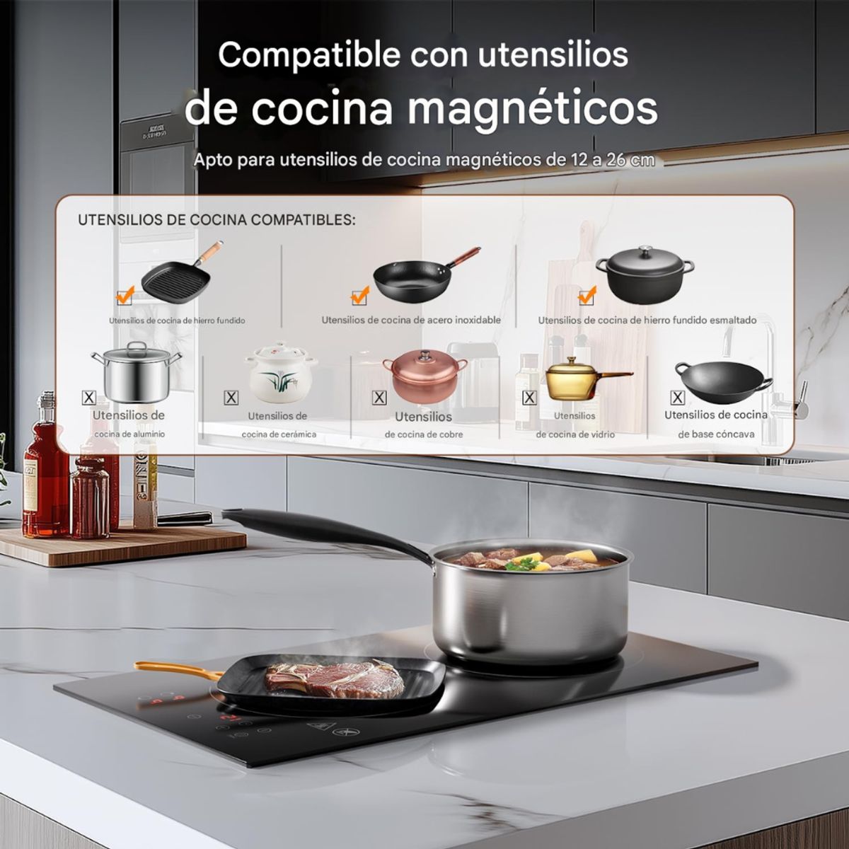 RENAHOUSE - Estufa Induccion Empotrar Vertical 1000w + Regalo