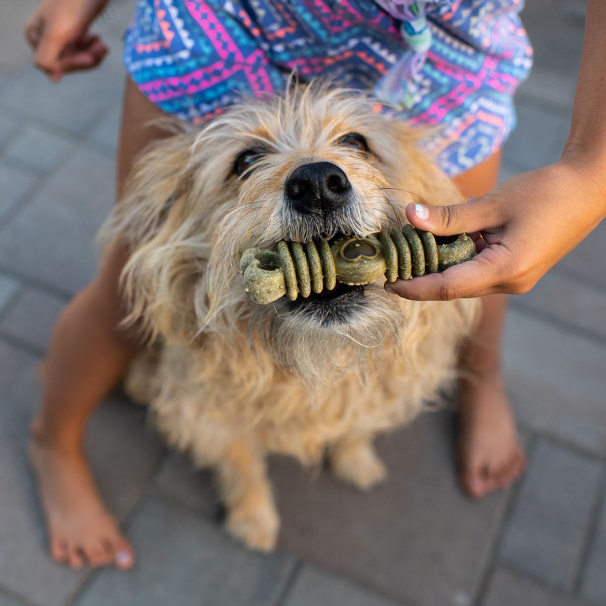 GENERICO - Ora-bone Snacks Dentales 397grs - Bolsa x23unds
