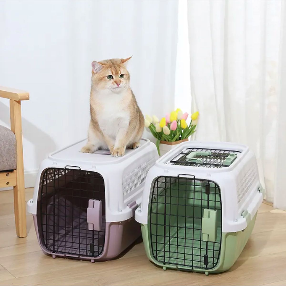 GENERAL - Guacal Con Apertura Superior Gato Y Perro