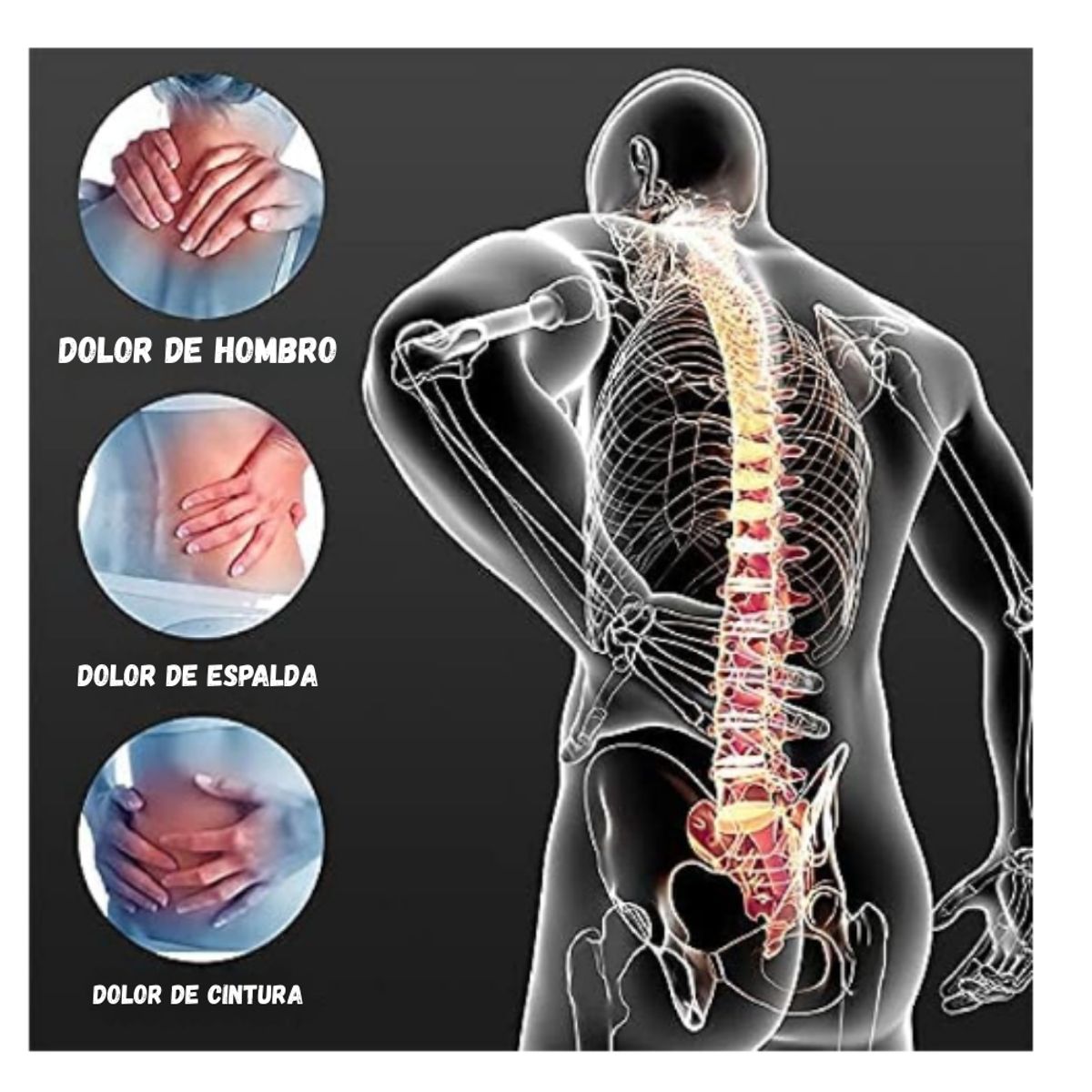 GENERICO - Cinturón Ortopédico Para Espalda Soporte Lumbar Corrector