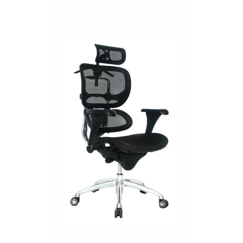GENERICO - Silla de escritorio Zerilanka Ergohuman Eco ergonómica negra