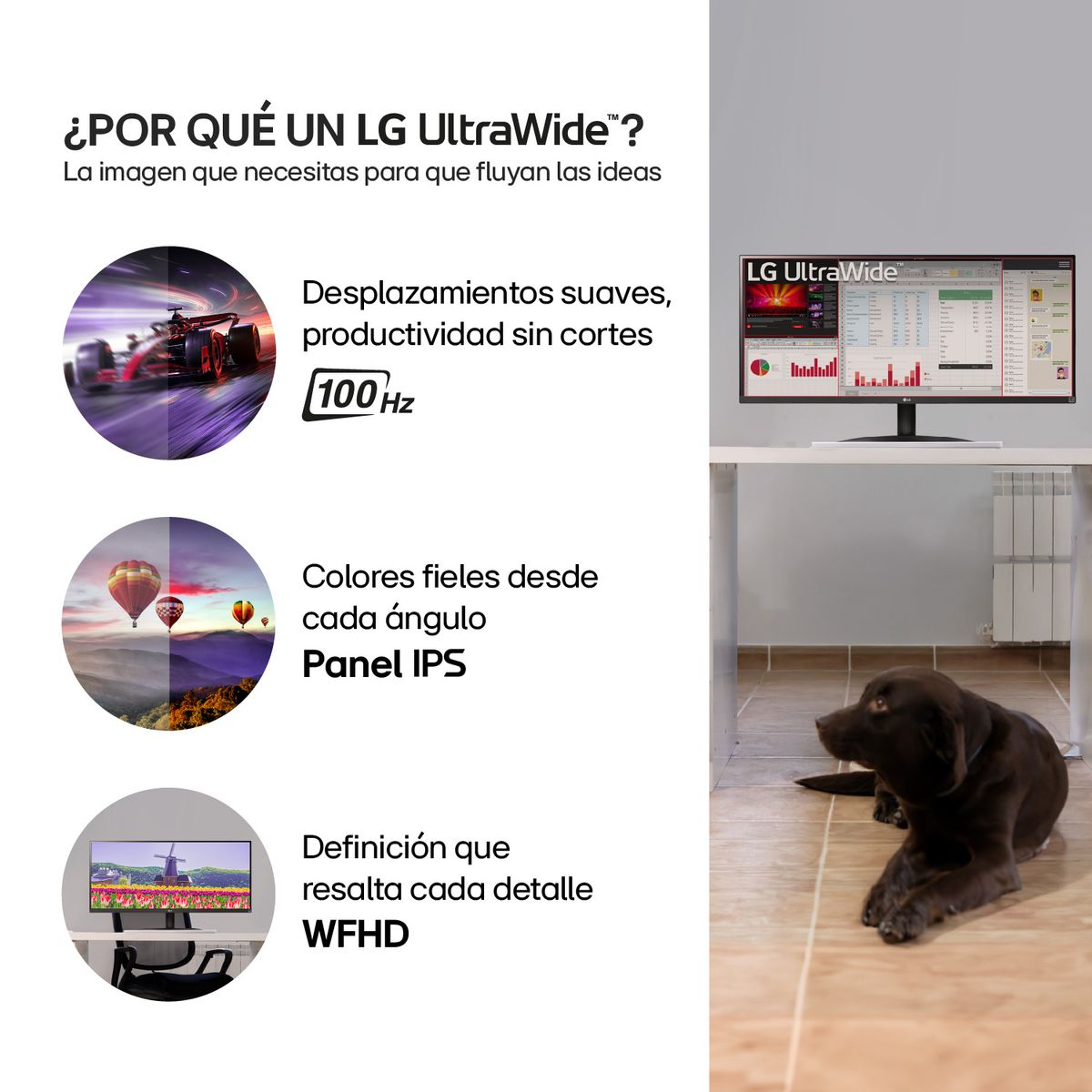 LG - Monitor LG 34U511A UltraWide 34 WFHD IPS 100HZ