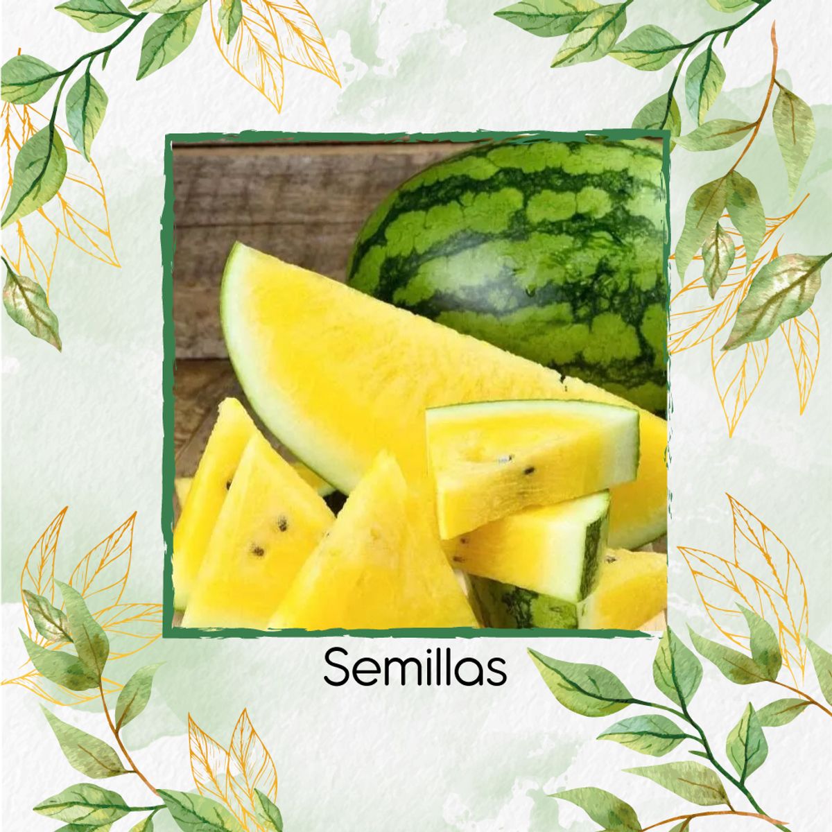 GENERICO - 200 Semillas Orgánicas De Sandía Pulpa Amarilla Moon & Stars