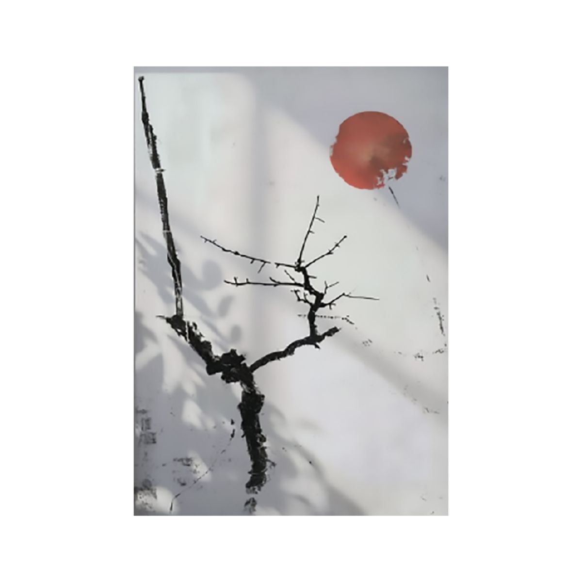 HOMUS - Cuadrowabi 1 Grande 70 X 100 X 3 Cms