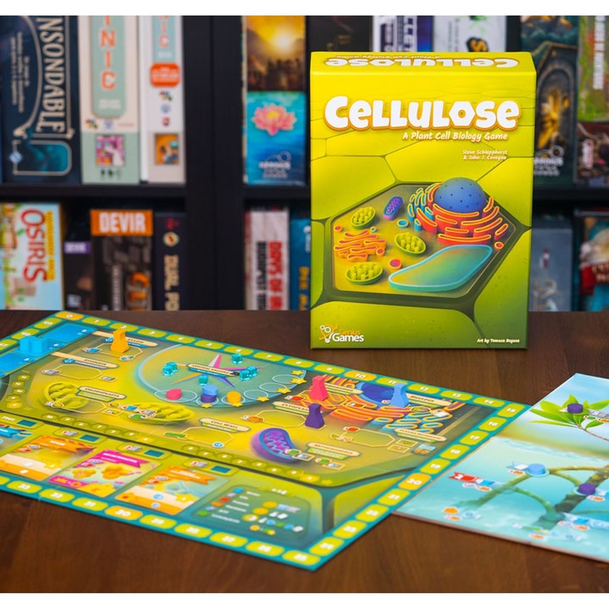 GENERICO - Juego de Mesa Cellulose