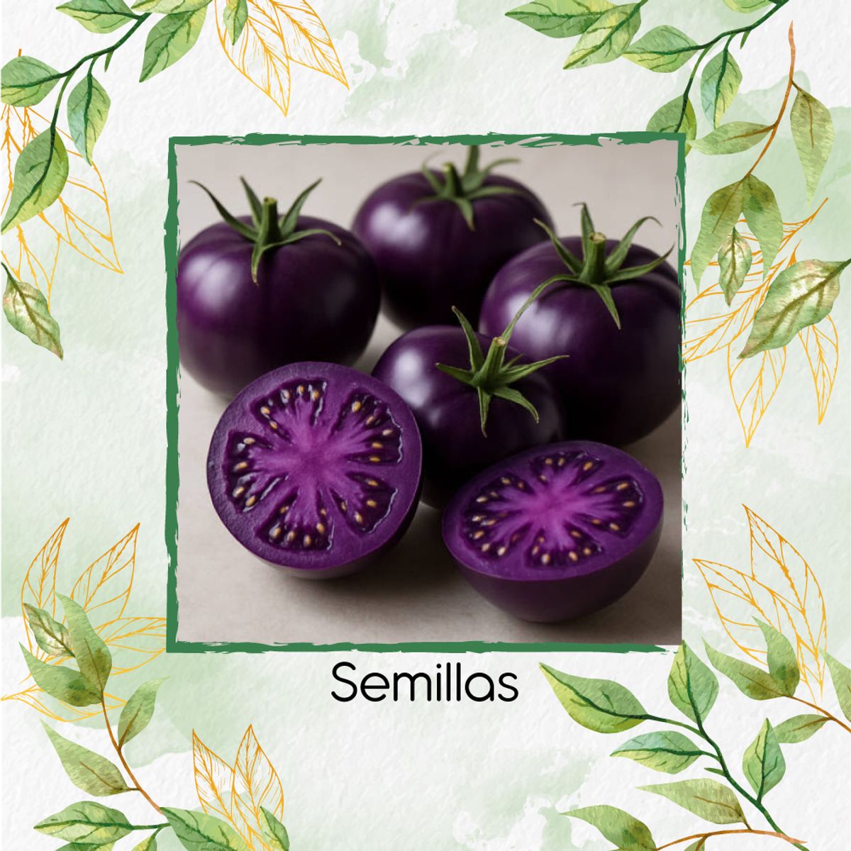 GENERICO - 33 Semillas Orgánicas De Tomate Morado