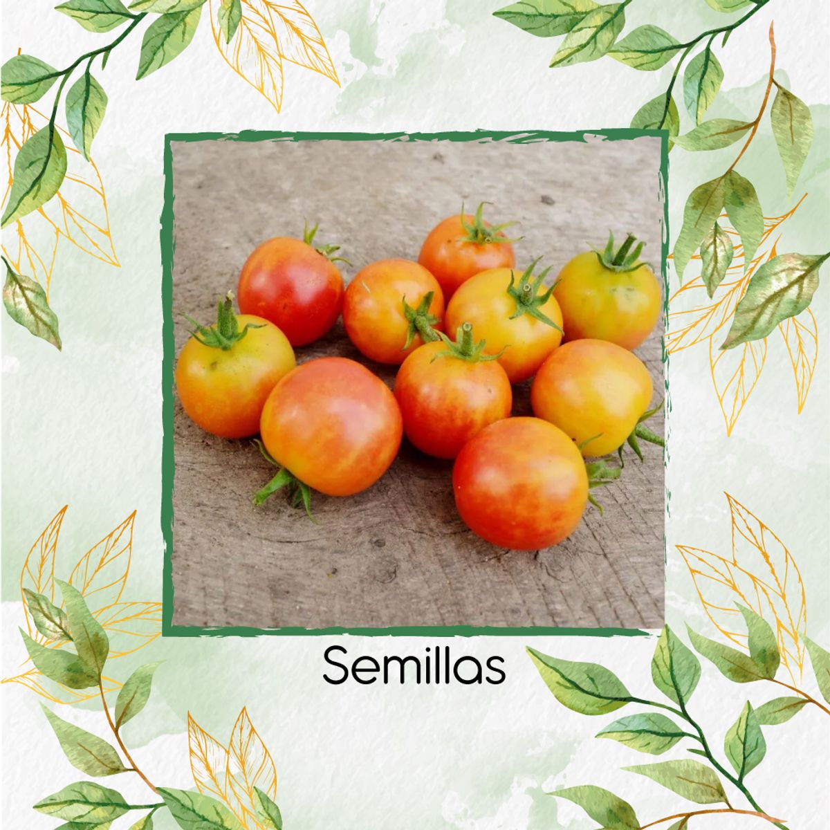 GENERICO - 33 Semillas Orgánicas De Tomate Cherry Bicolor
