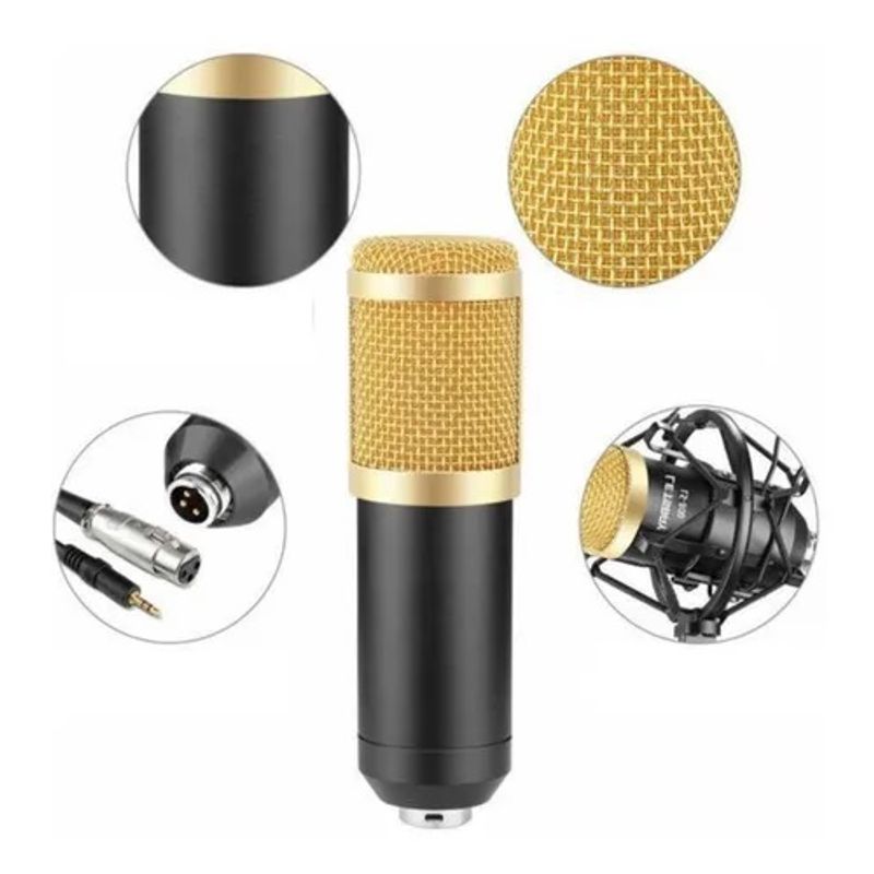 SEISA - Kit De Microfono Condensador Con Brazo Y Antipop