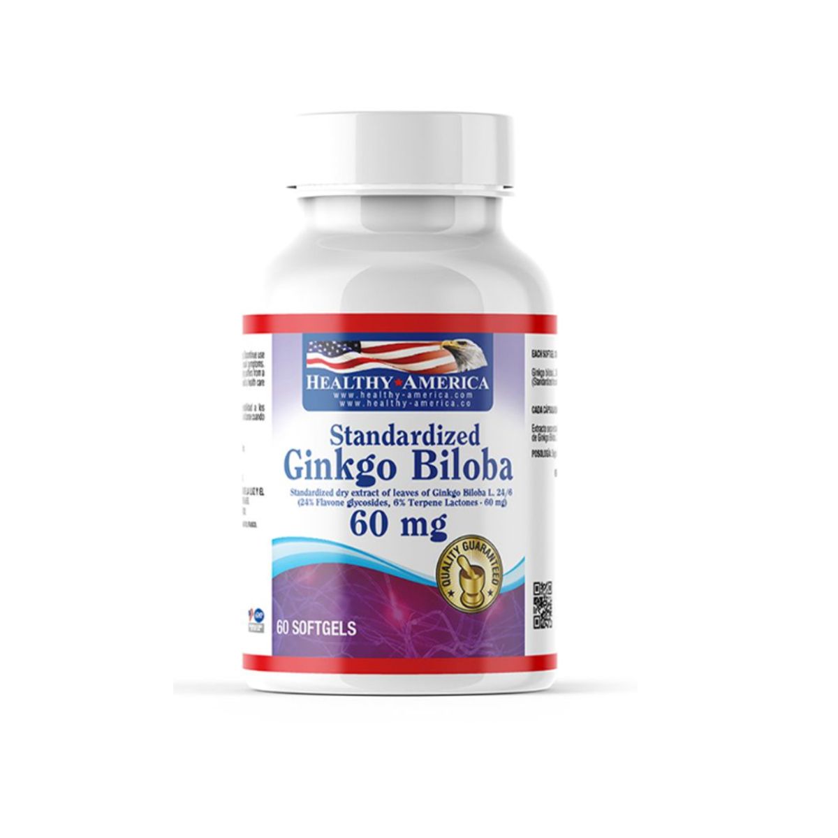 HEALTHY AMERICA - STANDARDIZED GINKGO BILOBA  X 60 SOFTGELS / HEALTHY AMERICA