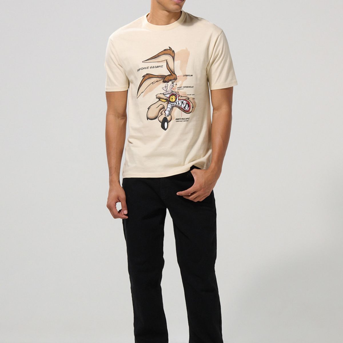 KOAJ - KOAJ Camiseta de Looney Tunes kaki clara cuello redondo Hombre