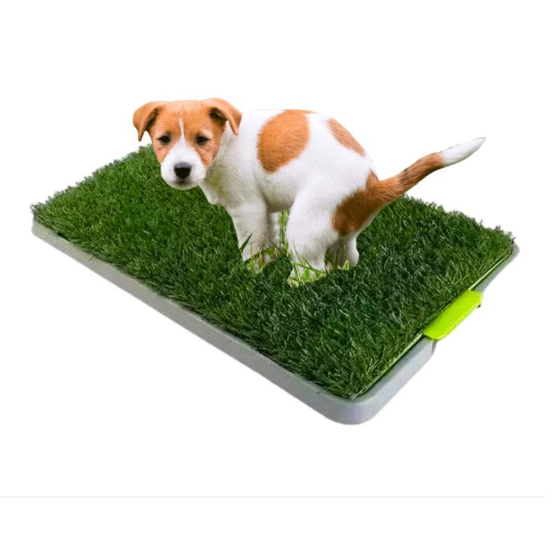 GENERICO - Tapete Baño Entrenador Para Mascota