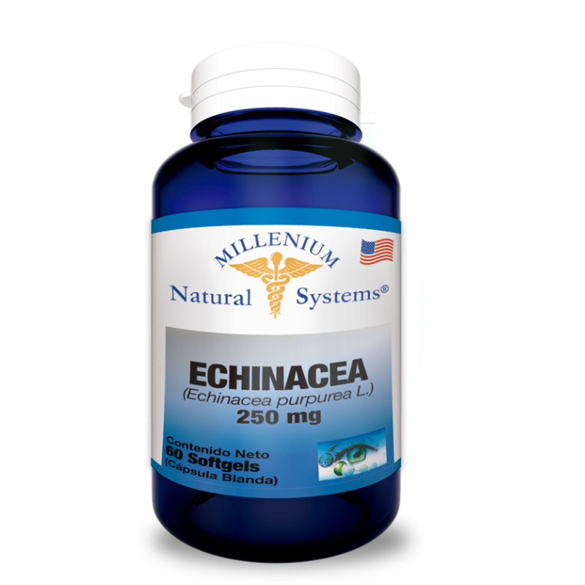 NATURAL SYSTEM - SUPLEMENTO ECHINACEA PURPUREA X 250 MG X 60 UNIDADES.