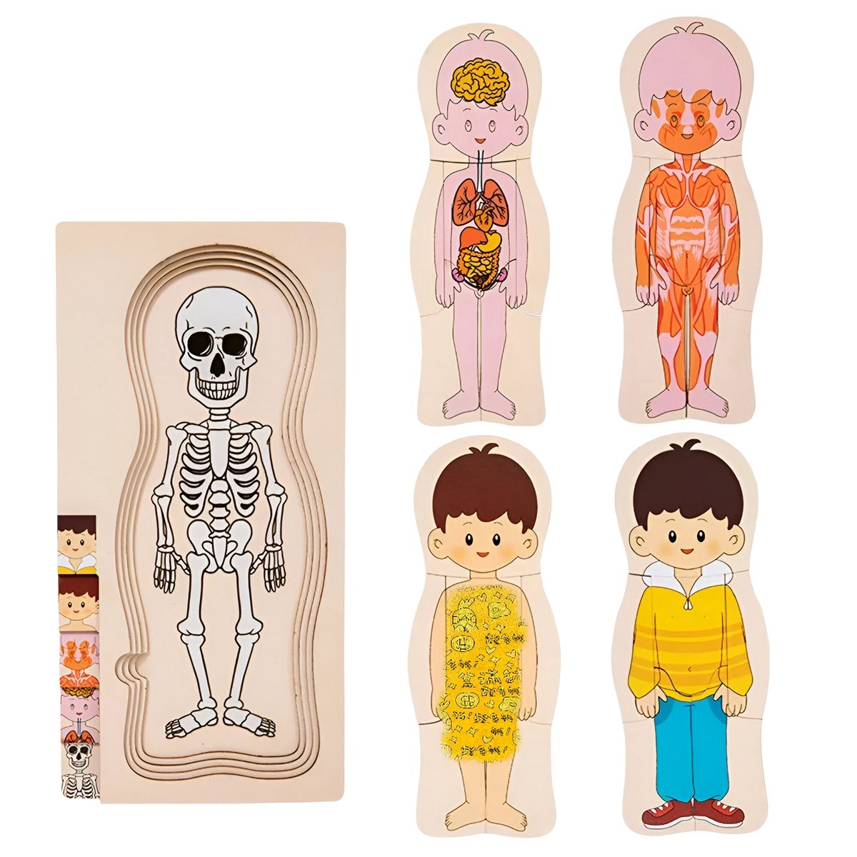 GENERICO - Juego De Mesa Rompecabezas Partes Del Cuerpo Interactiva