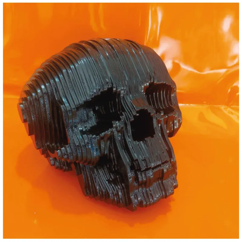 GENERICO - Escultura De Calavera Decorativa Negra En Plano Seriado