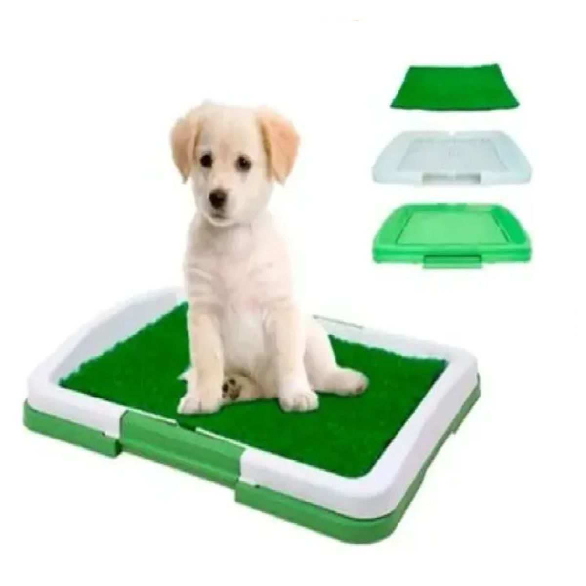 SKY - Tapete Baño Entrenador Para Mascotas