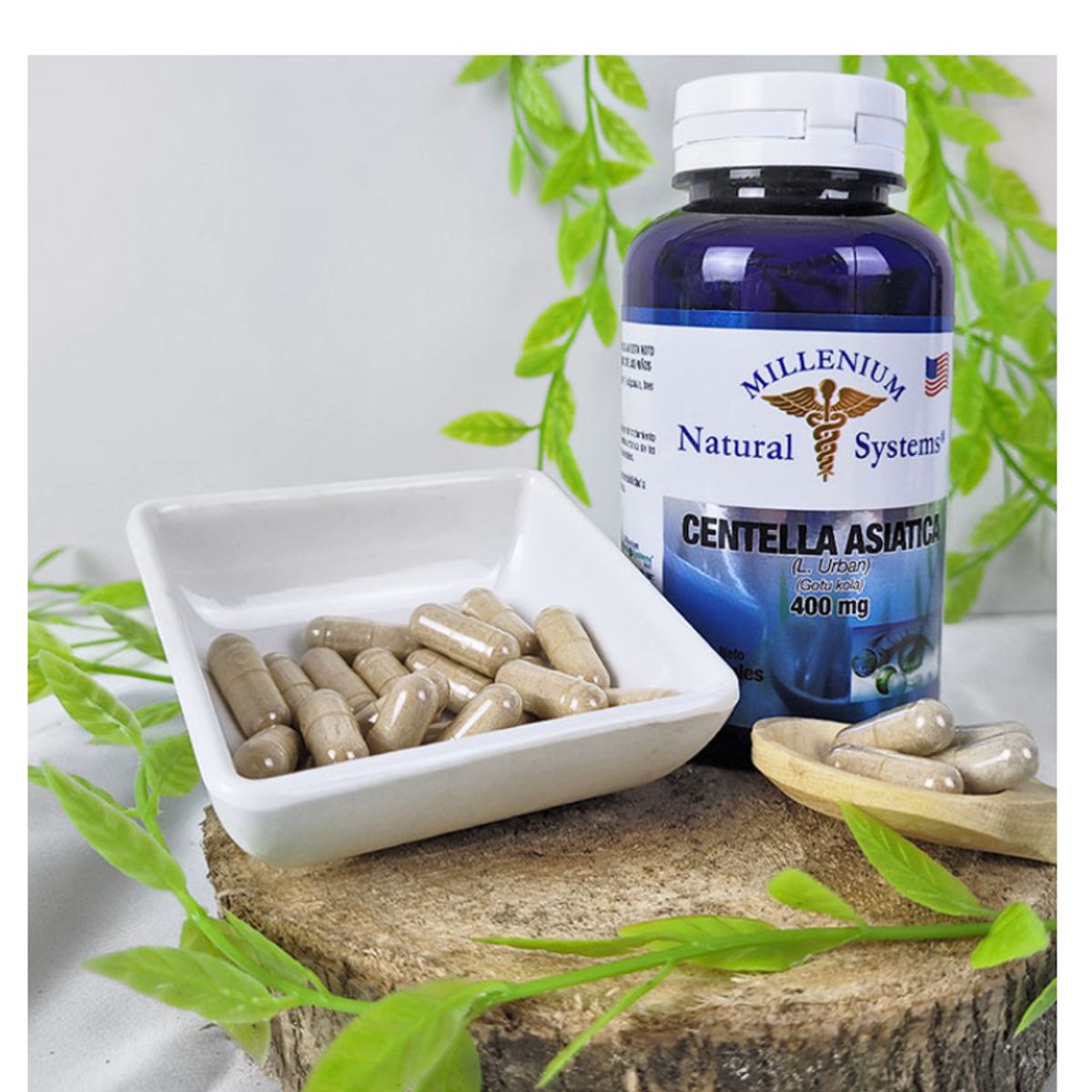 NATURAL SYSTEM - SUPLEMENTO CON VITAMINAS + MINERALES CENTELLA ASIATICA  400 MG. X 100 UNIDADES.