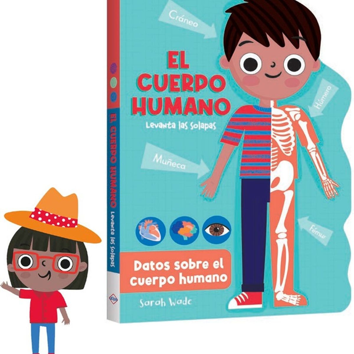 LEXUS - Libro Infantil El Cuerpo Humano Aprende y Descubre