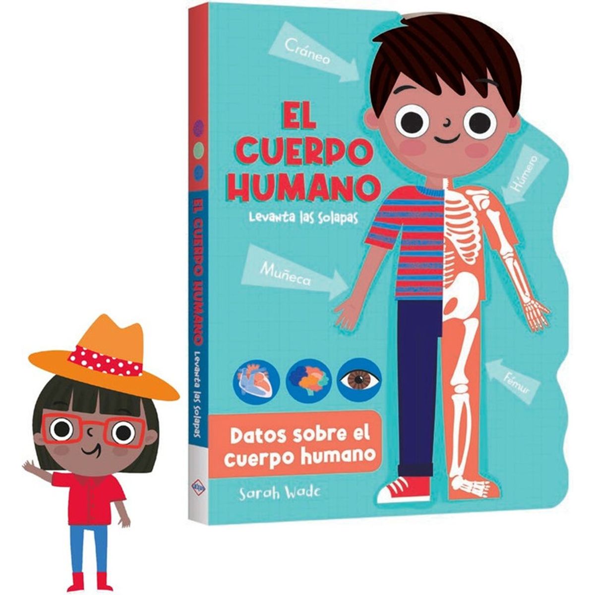 LEXUS - Libro Infantil El Cuerpo Humano Aprende y Descubre
