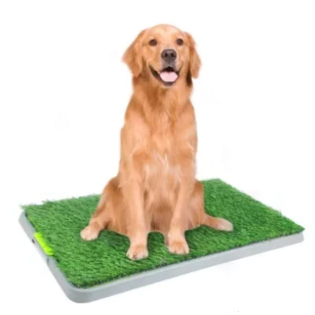 CLEAR - Tapete Para Perro Sanitarios Grande No Generico