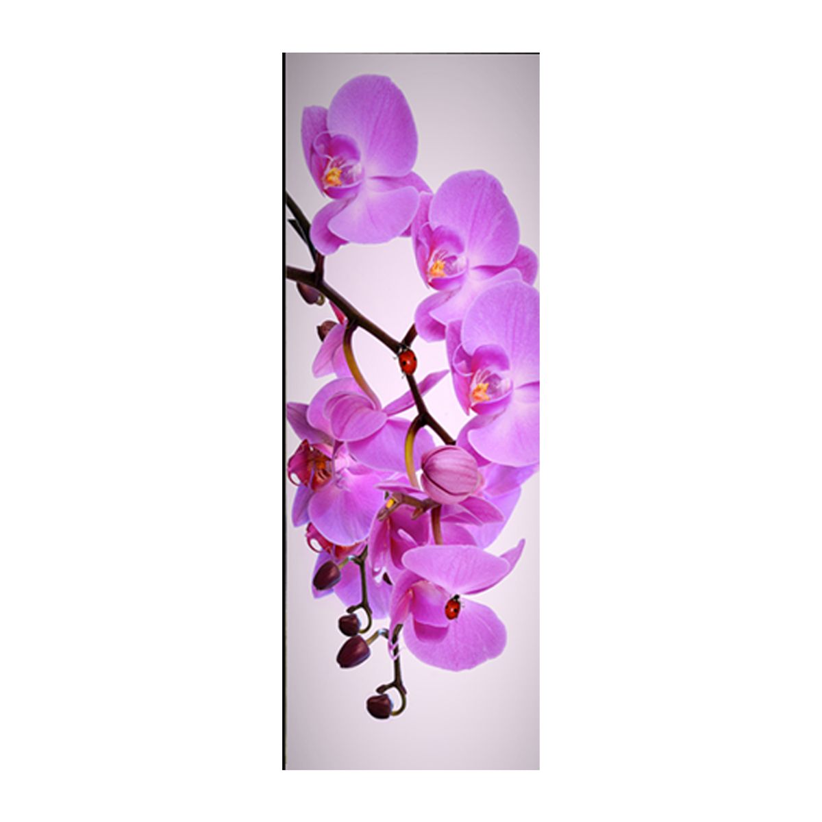 GENERICO - Cuadro Vertical Con Marco MDF Imagen Digital vinilo adhesivo 70x25cm