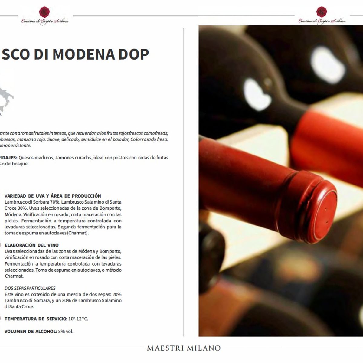 GENERICO - VINO TINTO LAMBRUSCO DI MODENA DOP
