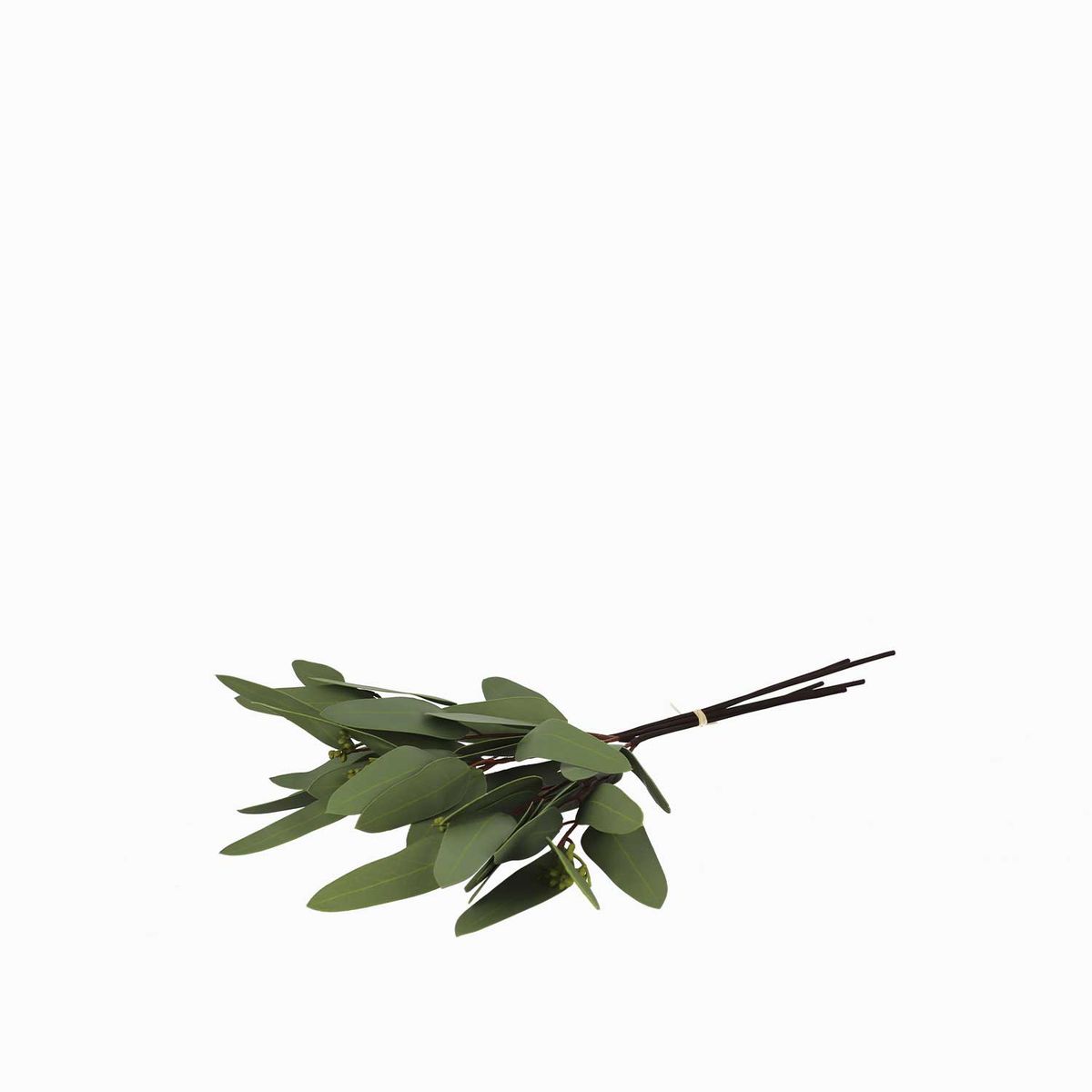 AMBIENTE LIVING - Racimo eucalipto largo 40cm