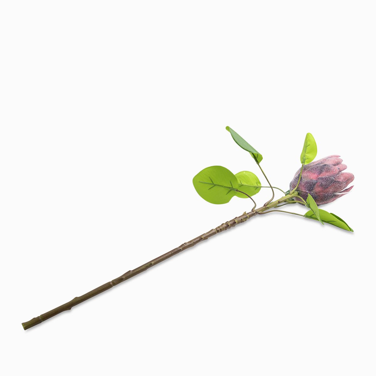 AMBIENTE LIVING - Flor protea