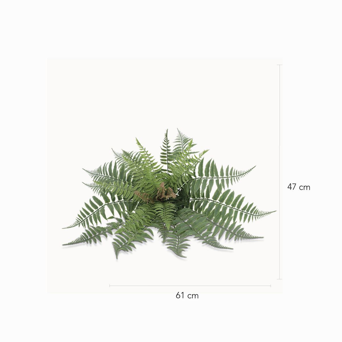 AMBIENTE LIVING - Helecho Florecido 47cm