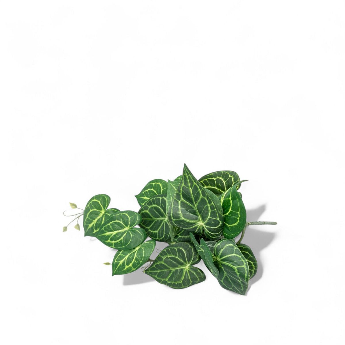 AMBIENTE LIVING - Singonio colgante 54cm