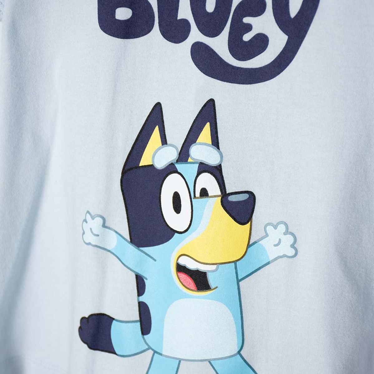 BLUEY - Camiseta de Bluey con capucha azul para niña 2T a 6T