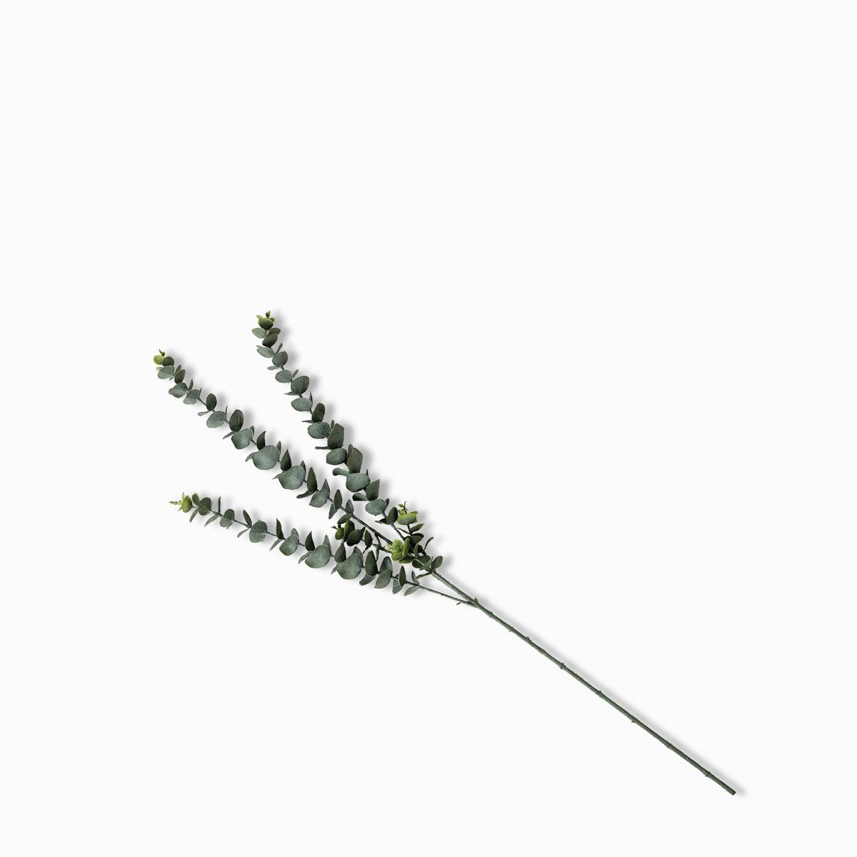 AMBIENTE LIVING - Rama Eucalipto 76 cm