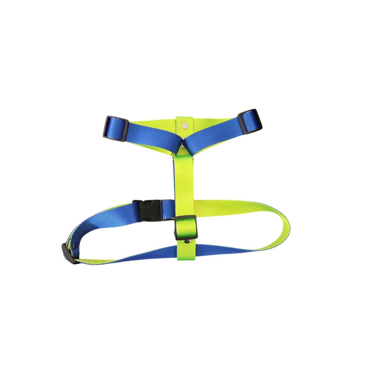 GENERICO - Arnés H para Perro con Collar y Correa Verde Azul Talla S