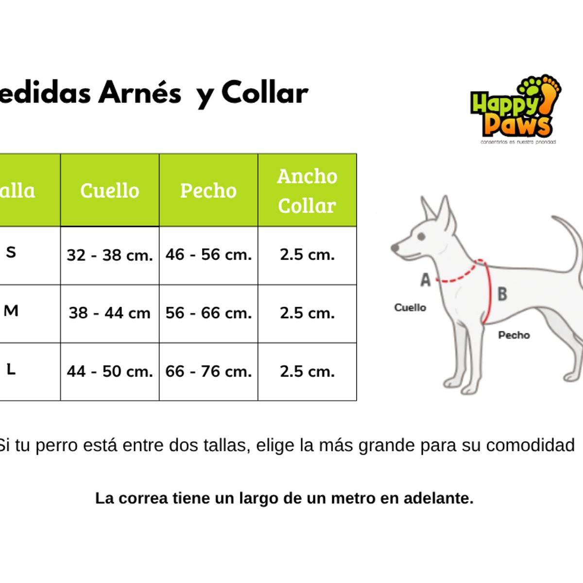 GENERICO - Arnés H para Perro con Collar y Correa Verde Azul Talla M