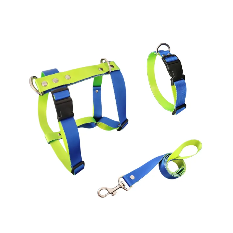 GENERICO - Arnés H para Perro con Collar y Correa Verde Azul Talla L