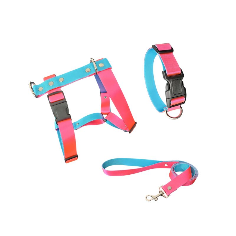 GENERICO - Arnés H para Perro con Collar y Correa Rosa Azul Talla L