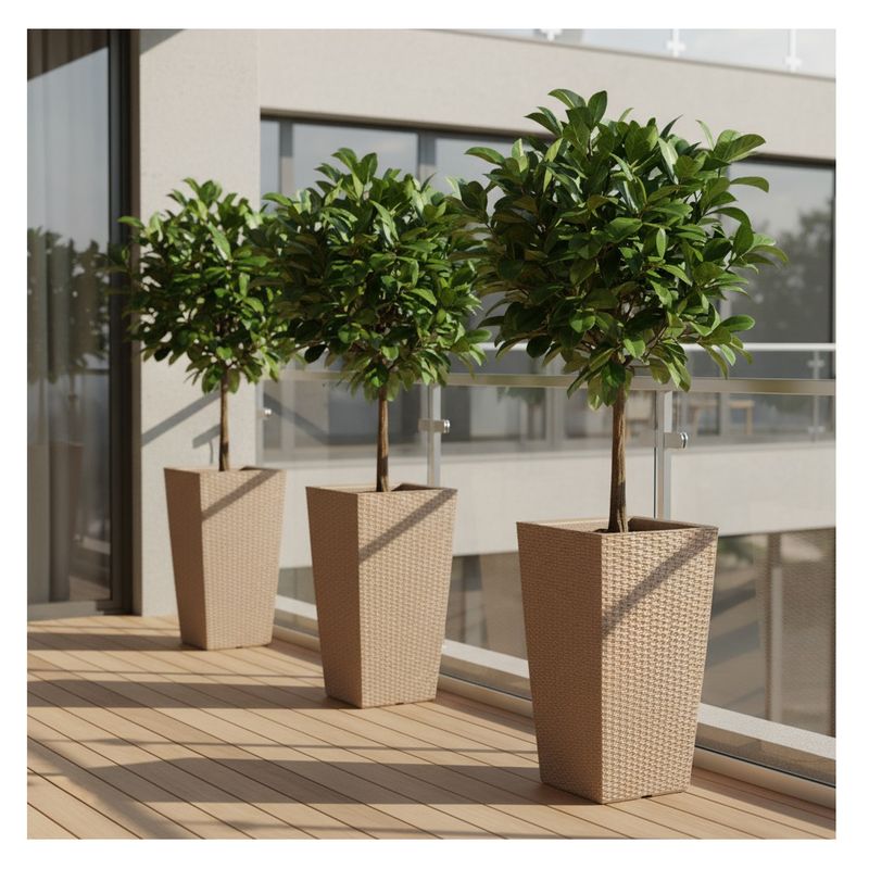 FORA DESIGN - Matera de plástico Gemello Rattan tamaño mediano color arena