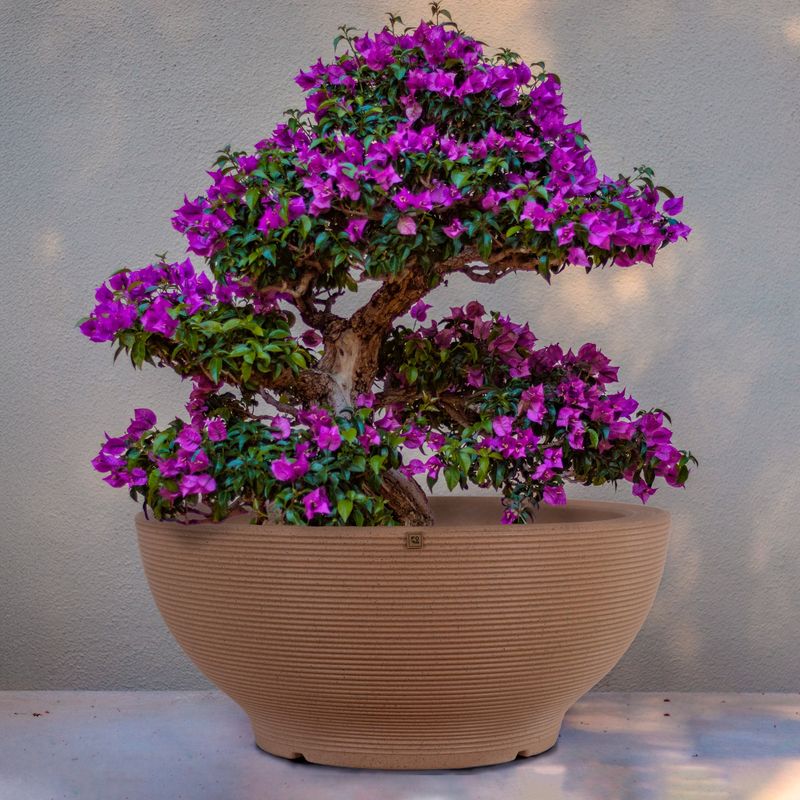 FORA DESIGN - Matera de plástico Puffy Texturizada Tamaño Grande Color Arena